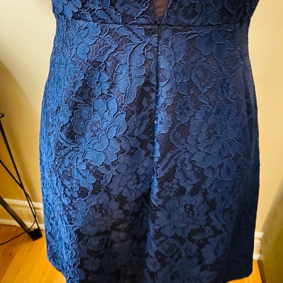 Gorgeous Pink Martini Lace Dress - Picture 11 of 14